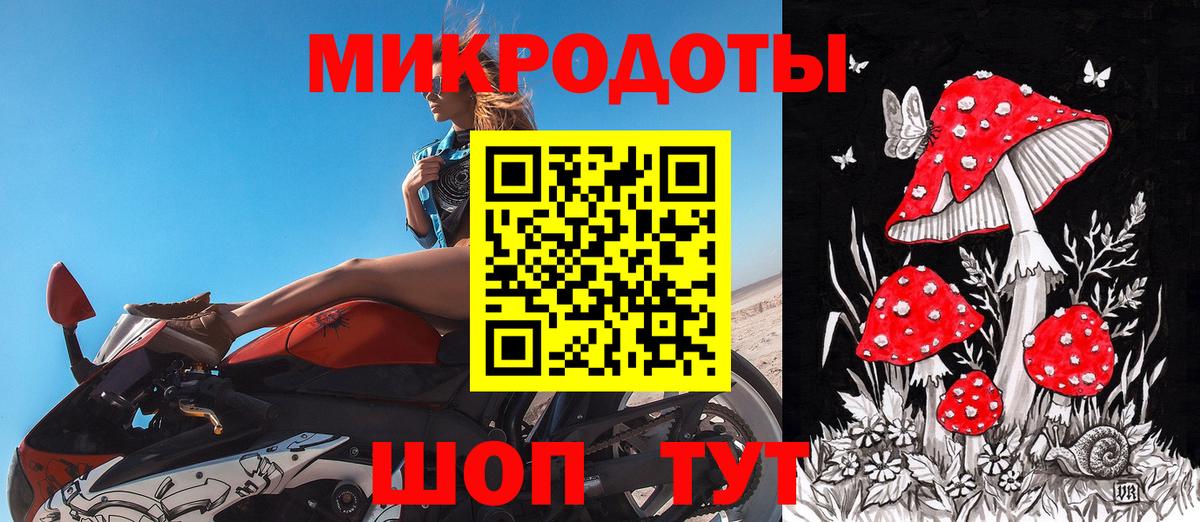 Псилоцибиновые грибы Cubensis  Вход с VPN  что такое наркотик  Муравленко  Галлюциногенные грибы прущие грибы 