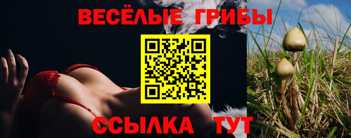 Галлюциногенные грибы Psilocybe Муравленко